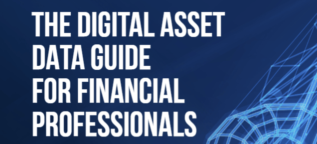 The Digital Asset Data Guide Amberdata Amberdata - Premium Dark Illustration Gallery - Desktop